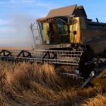Абрамченко: Объем агроэкспорта может достичь 27 млрд долларов