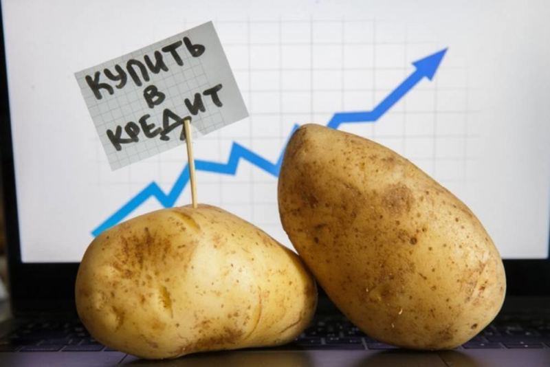 Почему картофель стал самым подорожавшим продуктом за год