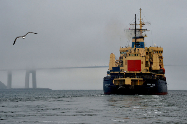 Длина имеет значение: как Россия будет осваивать Северный морской путь