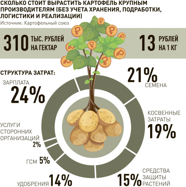 Почему России не хватает своих овощей