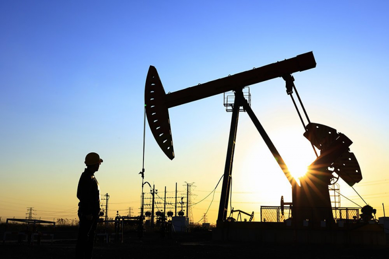 Страны ОПЕК+ не будут ускорять темпы роста добычи нефти