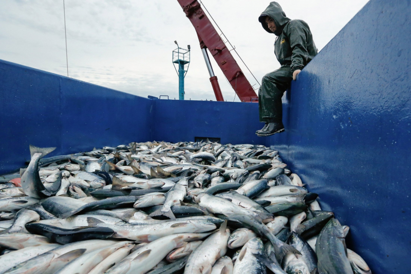 Экспорт российской рыбы в 2021 году показал взрывной рост