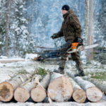 Цены на стройматериалы из дерева внутри России могут снизиться
