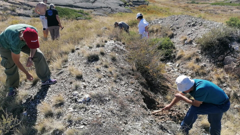 Всё для удобства иностранного капитала: Казахстан оцифровывает геологические данные
