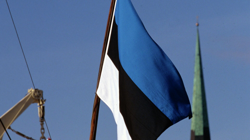 Эстония заявила о готовности направить роту военных на Украину