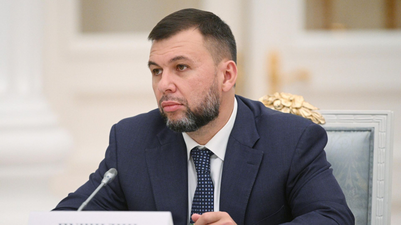 Пушилин заявил, что недра Донбасса являются достоянием России