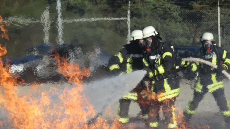 В ФРГ при пожаре на аттракционе пострадали 11 человек, пишут СМИ