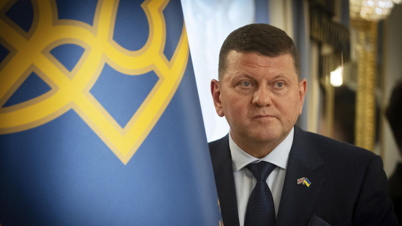 В Госдуме прокомментировали заявление Залужного о границах Украины