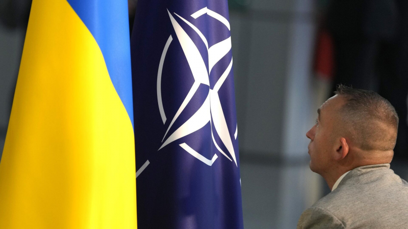 В Киеве удивились словам Рютте о членстве Украины в НАТО